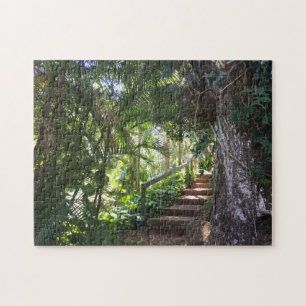 Walkway Through A Tropical Forest, Kauai, Hawaii Jigsaw Puzzle