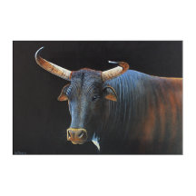 Wall Art Cattle Nguni