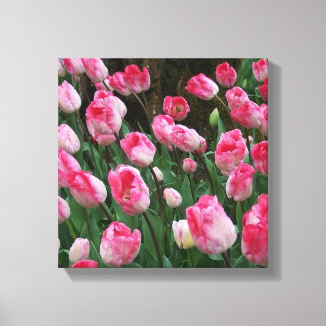 Wall Art Pink Tulips (Front)