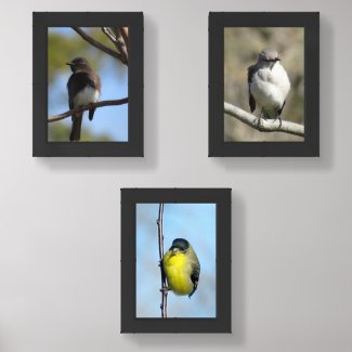 Wall Art Set - Three Birds in Branches