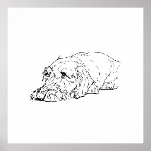 Wall Art, Wire Haired Dachshund - Cute  Poster