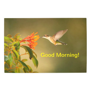 Wall Arts Good Morning Metal Print