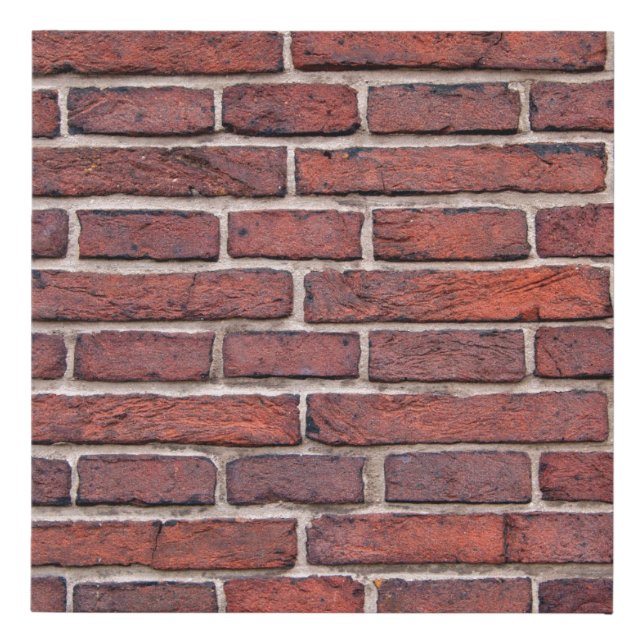 Wall bricks brick wall red bricks faux canvas print (Front)
