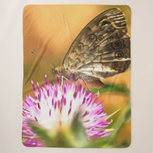 Wall Brown Butterfly Lasiommata megera Painting Sherpa Blanket