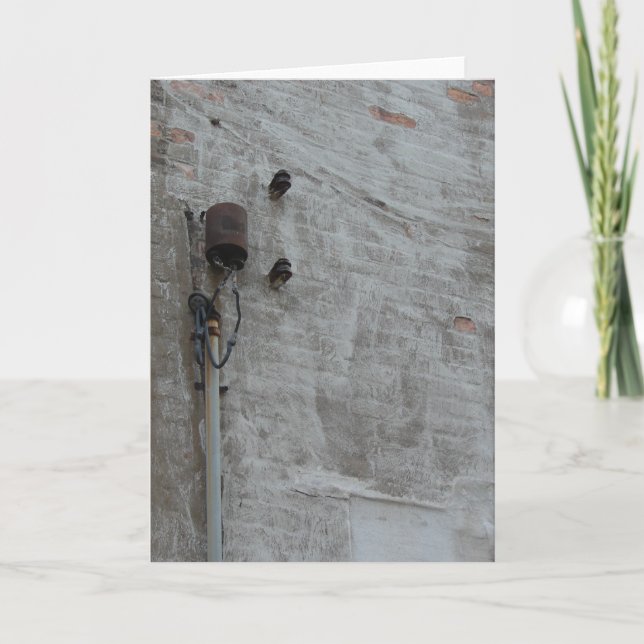 Wall Card (Front)