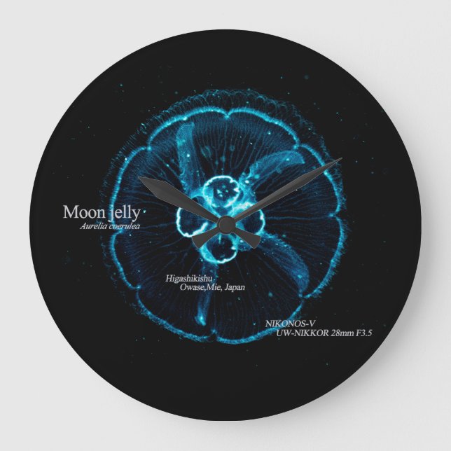 Wall Clock (Front)