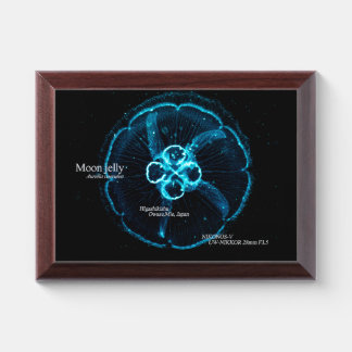 Wall Clock Award Plaque