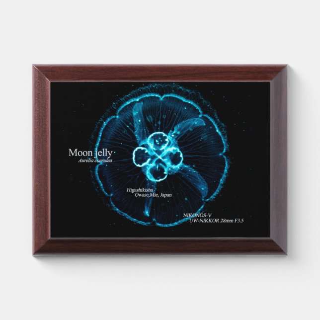 Wall Clock Award Plaque (Horizontal)
