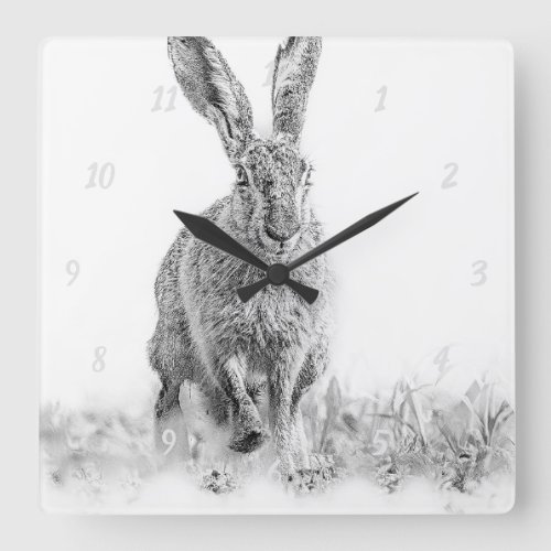 wall clock with photomoid hare _ sw