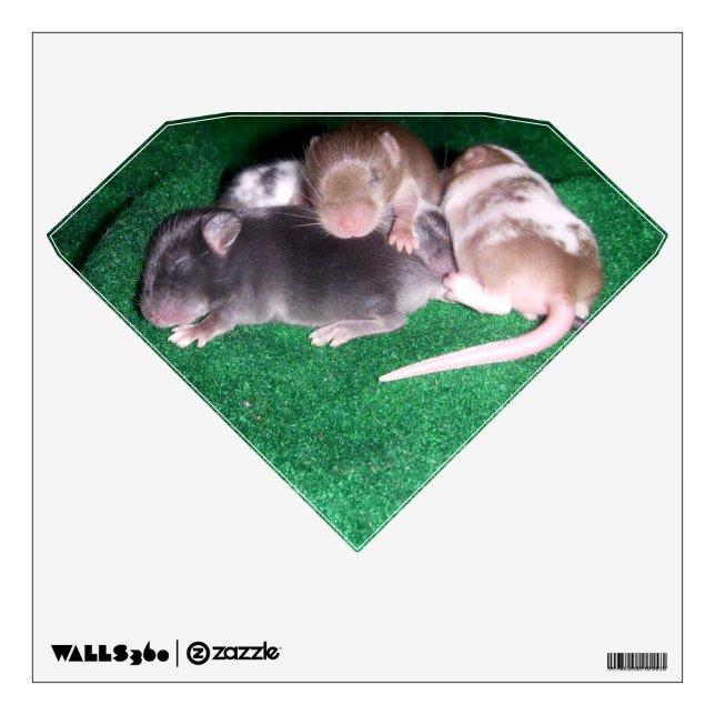 Wall Decal: 4 baby mice (diamond) Sticker (Front)