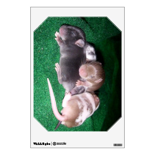 Wall Decal: 4 baby mice (horizontal emerald) Sticker (Front)