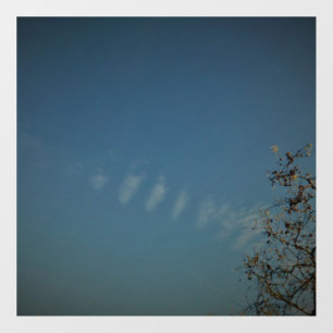 WALL DECAL ART AND DESIGN STYLE