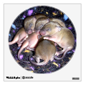 Wall Decal: baby agouti mice Decal