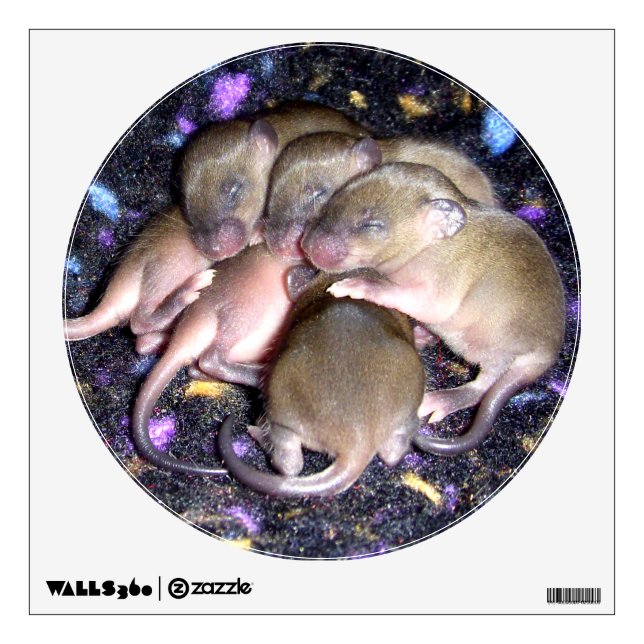 Wall Decal: baby agouti mice Decal (Front)