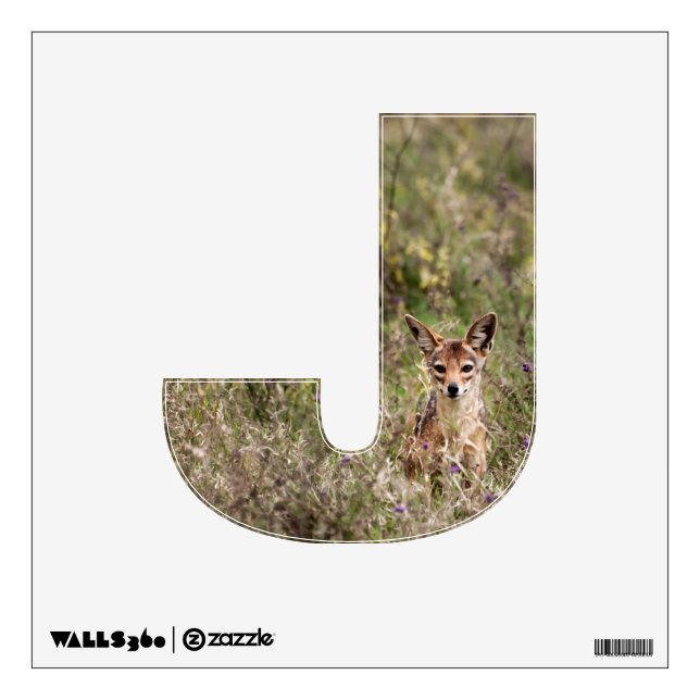 Wall Decal Letter J (Front)