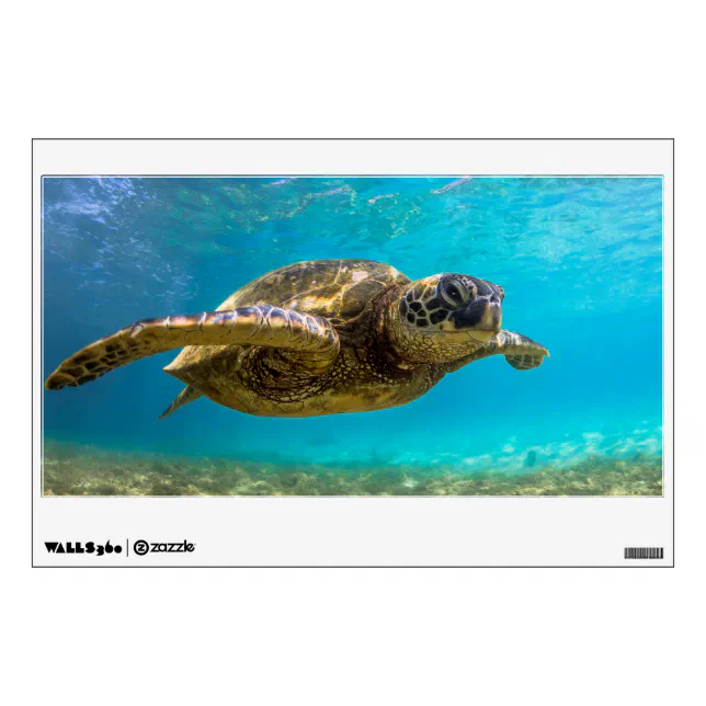 Wall Decal Sea Turtle | Zazzle