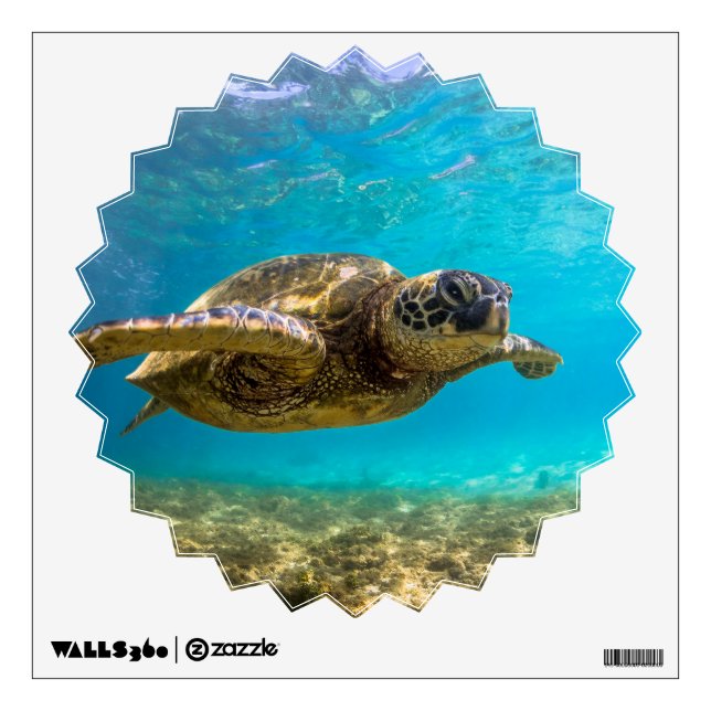 Wall Decal Sea Turtle (Front)