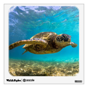 Wall Decal Sea Turtle