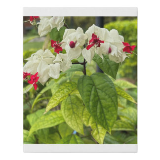 Wall frame faux canvas print