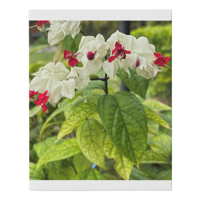 Wall frame faux canvas print (Front)