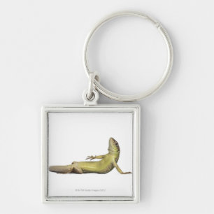 Wall lizard lying down - Podarcis muralis Keychain