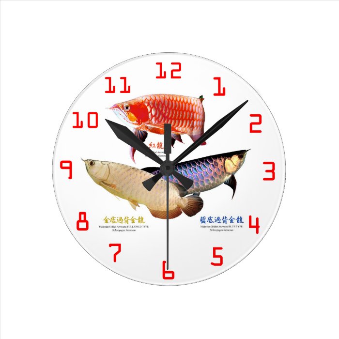 Wall mounted clock of ajiaarowana of 3 types