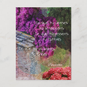 Wall,Nature and message Postcard