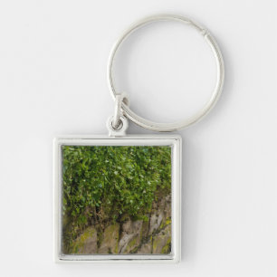 Wall Of Ivy Keychain