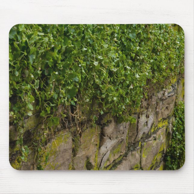 Wall Of Ivy Mouse Pad (Front)