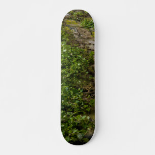 Wall Of Ivy Skateboard Deck
