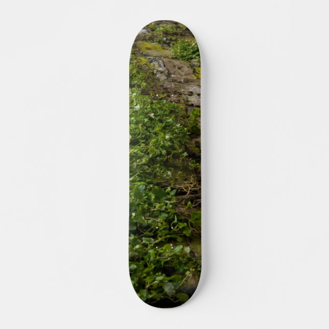 Wall Of Ivy Skateboard Deck (Front)