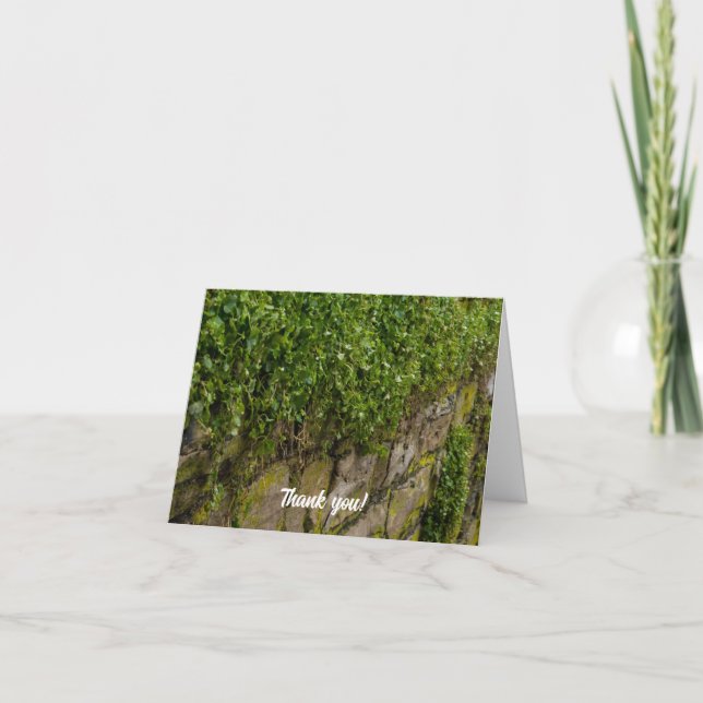 Wall Of Ivy Thank You Card (Front)