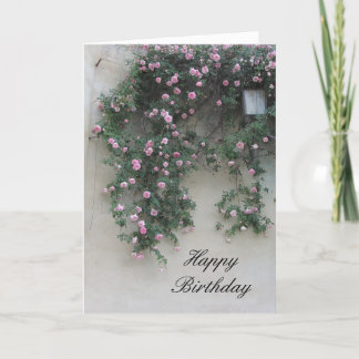 Wall of Pink Roses Card