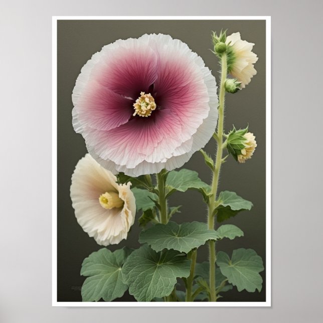 Wall Poster Beautiful Hollyhock Flower Wall Art (Front)