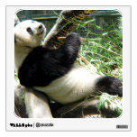 Wall Sticker - Customized