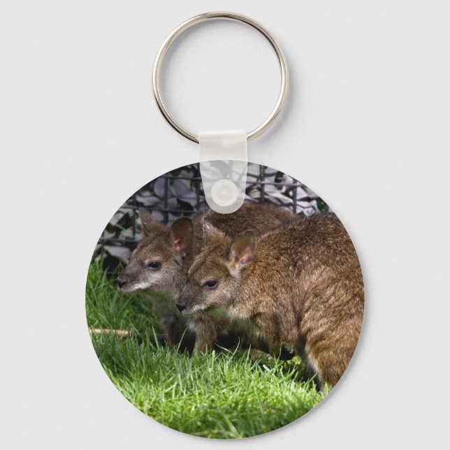 Wallabies Keychain (Front)