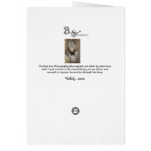 Wallaby Cards (Back)