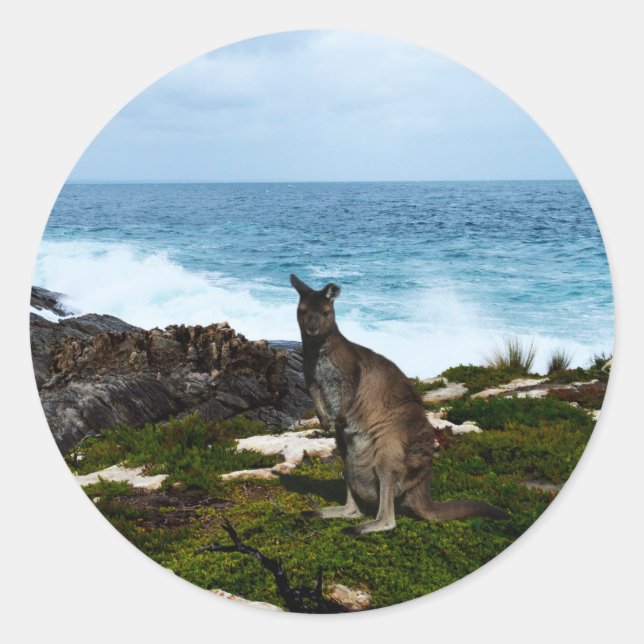 Wallaby On Seaside Rocks, Round Stickers (Front)
