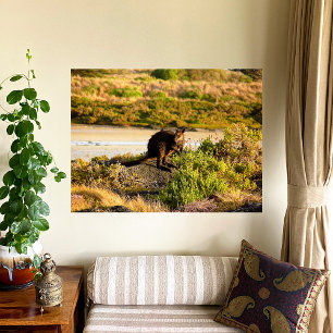 Wallaby on the Riverside Canvas Print