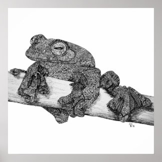 Wallaces Flying Frog Art Print