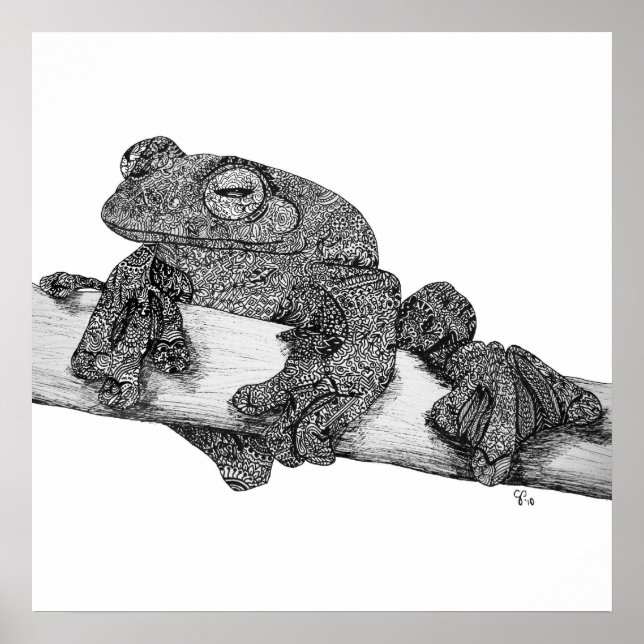 Wallaces Flying Frog Art Print (Front)