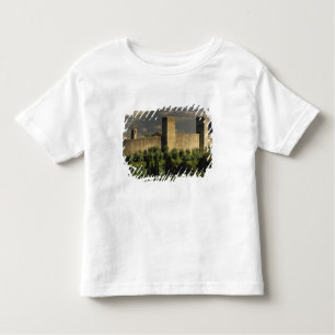 Walled city of Monteriggioni, in the province of Toddler T-shirt