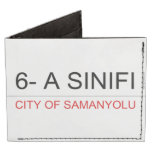 6- A SINIFI  Wallet Tyvek® Billfold Wallet