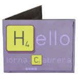 Hello
 lorna Cabrera 
 
   Wallet Tyvek® Billfold Wallet