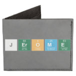 Jerome  Wallet Tyvek® Billfold Wallet