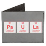 Paula  Wallet Tyvek® Billfold Wallet
