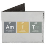 amit  Wallet Tyvek® Billfold Wallet