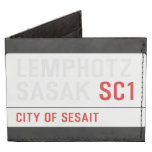 LEMPHOTZ SASAK  Wallet Tyvek® Billfold Wallet