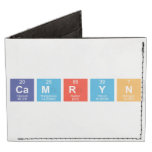 Camryn  Wallet Tyvek® Billfold Wallet