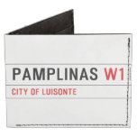 PAMPLINAS  Wallet Tyvek® Billfold Wallet